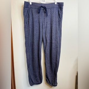 Aerie Navy Blue Track Pants